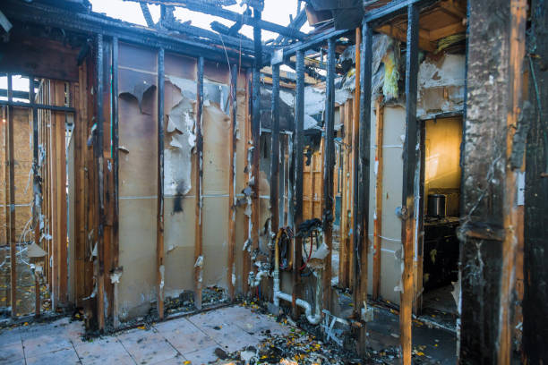Professional Smoke Damage Restoration technician working in Frisco, TX